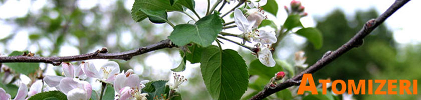 Atomizeri