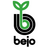 Bejo-Logo normal