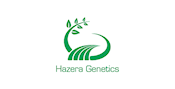HAZERALOGO